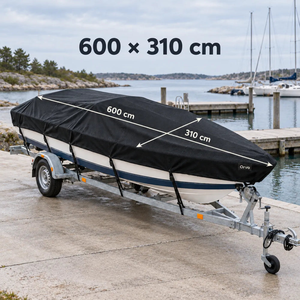 600 × 310 cm